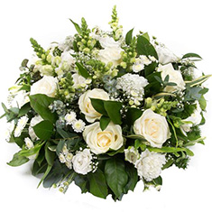 Classical White Posy P174