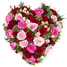 Rose Heart H198