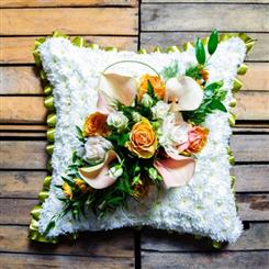 Peach Based Cushion C217