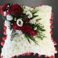 Based Red Cushion C220