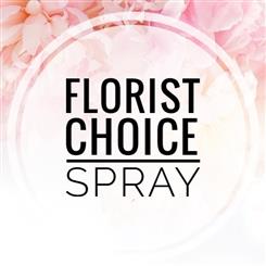 Florist Choice Spray