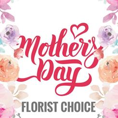 Mothers day Florist choice