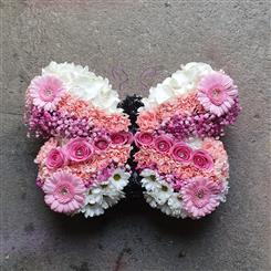 Butterfly BB364