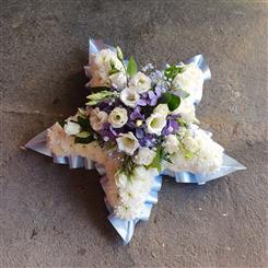 Star tribute BS263
