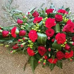 Red Spray S124