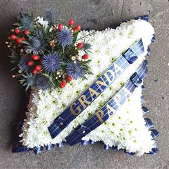 Cushion C221