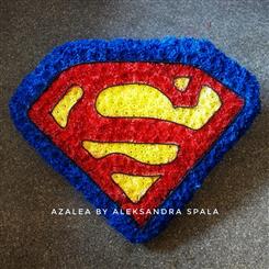 Superman badge funeral tribute