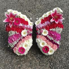Butterfly large BB293