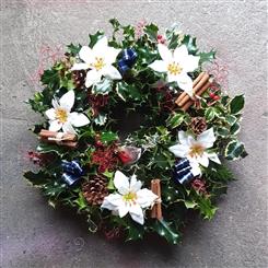 White Poinsettia Holly Wreath
