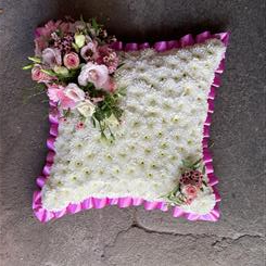 Pink Cushion 