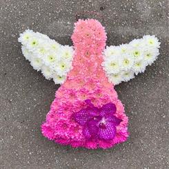 Little Angel BA264