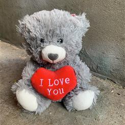 big Teddy Bear