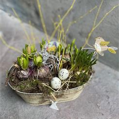 Spring planter