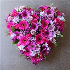 Pink gerbera heart H202