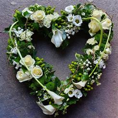 Open heart H188