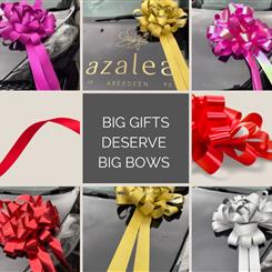 Big bow