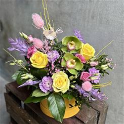 Songbird&#39;s Hatbox