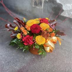 The Autumn Coorie