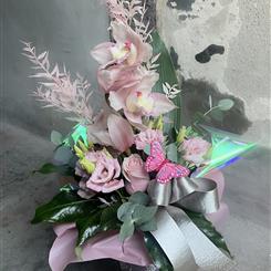 Sweet Appreciation Orchid