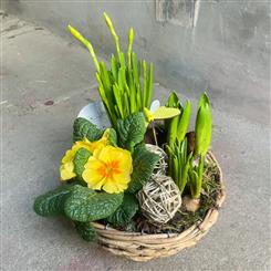 Spring planter in yellows