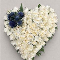White Rose Heart H202