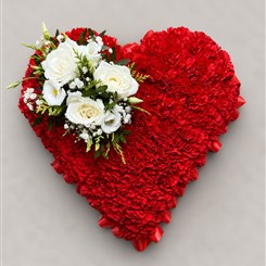 Red &amp; White Heart H209