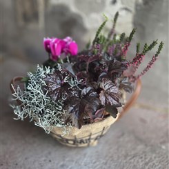 Autumn planter