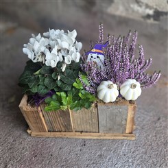 Ghostly Garden Halloween Planter